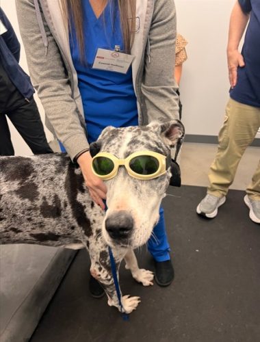 Screenshot 2025-12-29 140554