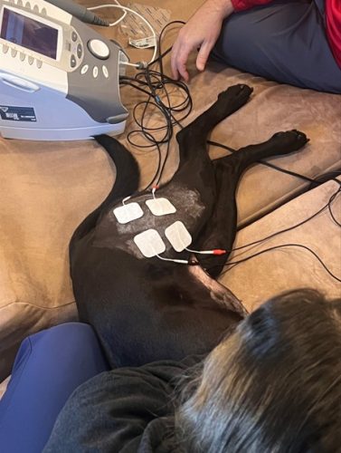 Screenshot 2025-12-29 140625